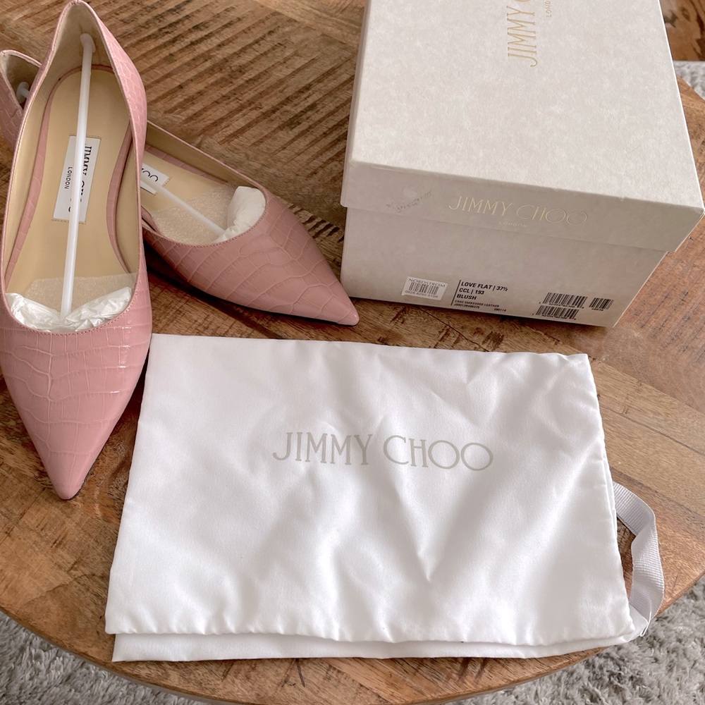 Flat shoes, never worn, no tags.